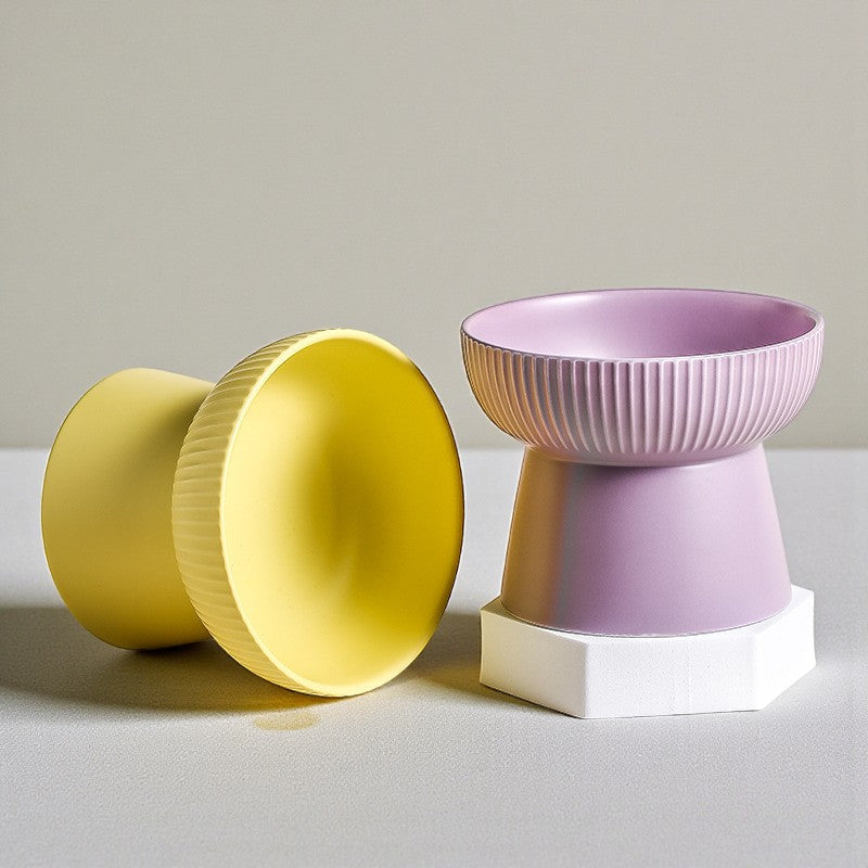 Elevated Ceramic Pet Bowl | Ergonomic Slanted