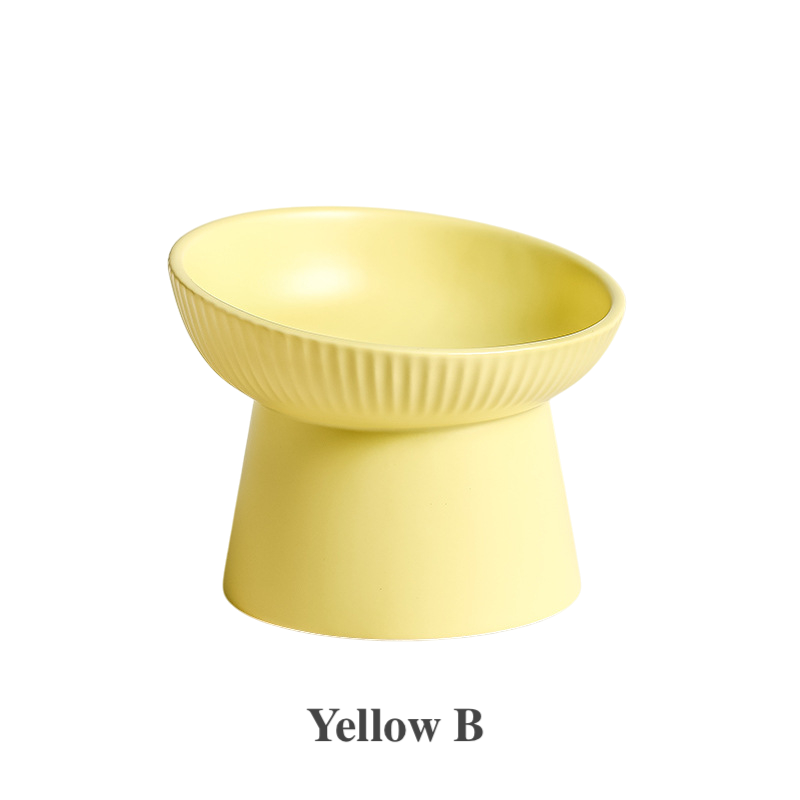 Elevated Ceramic Pet Bowl | Ergonomic Slanted
