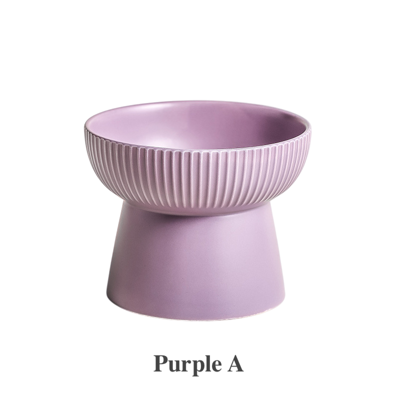 Elevated Ceramic Pet Bowl | Ergonomic Slanted