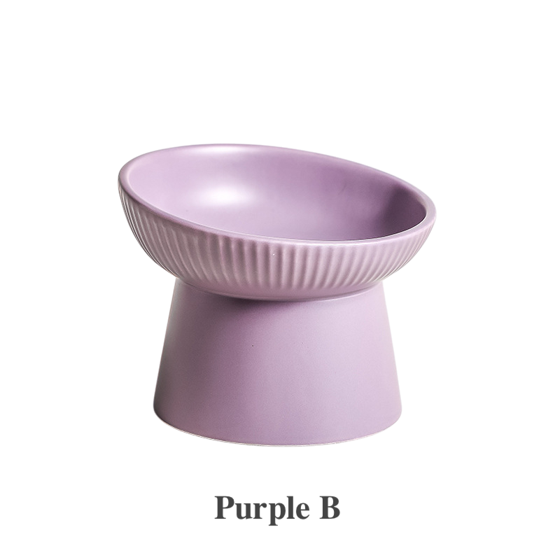 Elevated Ceramic Pet Bowl | Ergonomic Slanted
