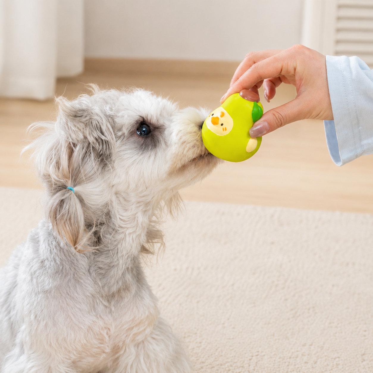 Latex Dog Squeaky Toy Set – Fruit & Animal Chew Toys