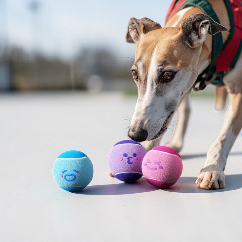 Netball Design Training Pet Ball Toy (Ser of 3)