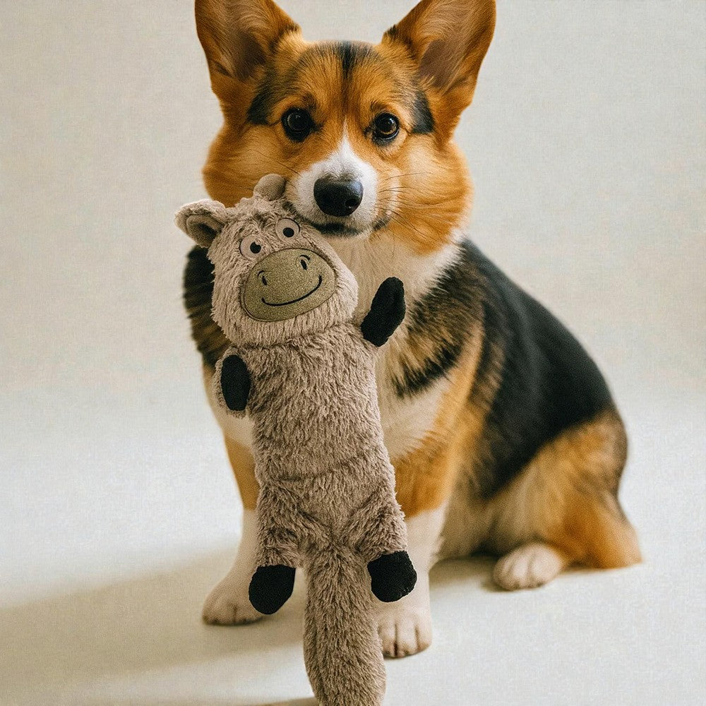 Plush Animal Squeaky Dog Toy | Chew & Training Toy